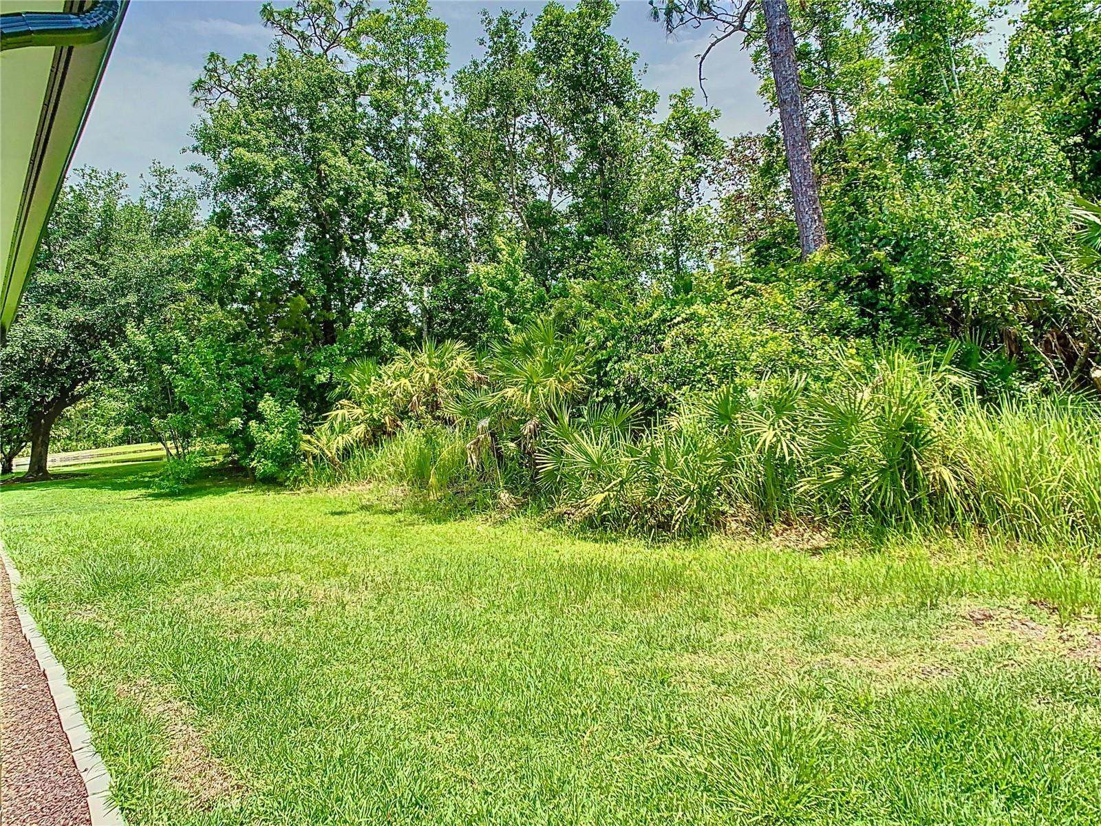 Image 60 of 74 For 10875 Arbor View Boulevard