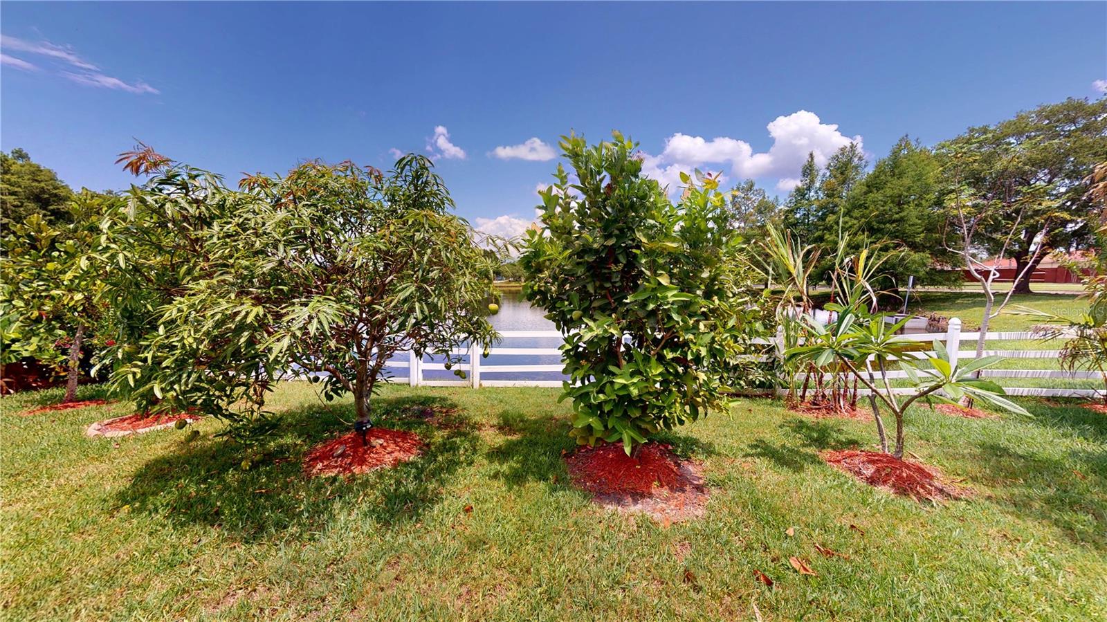 Image 34 of 51 For 2506 Shelby Circle