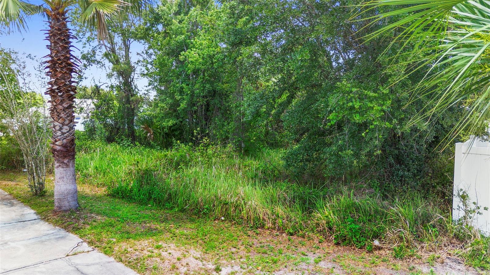 Image 16 of 23 For  Dove Drive 