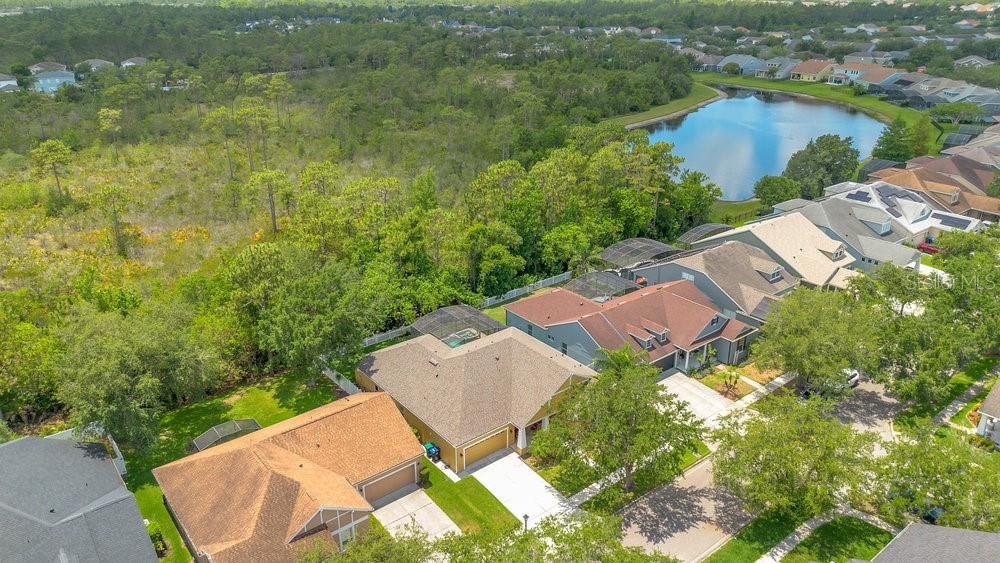 Image 41 of 56 For 14312 Paradise Tree Drive
