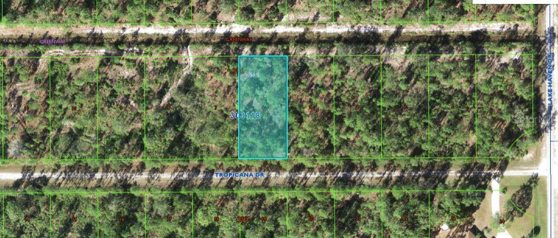 Details for 612 Tropicana Drive, INDIAN LAKE ESTATES, FL 33855