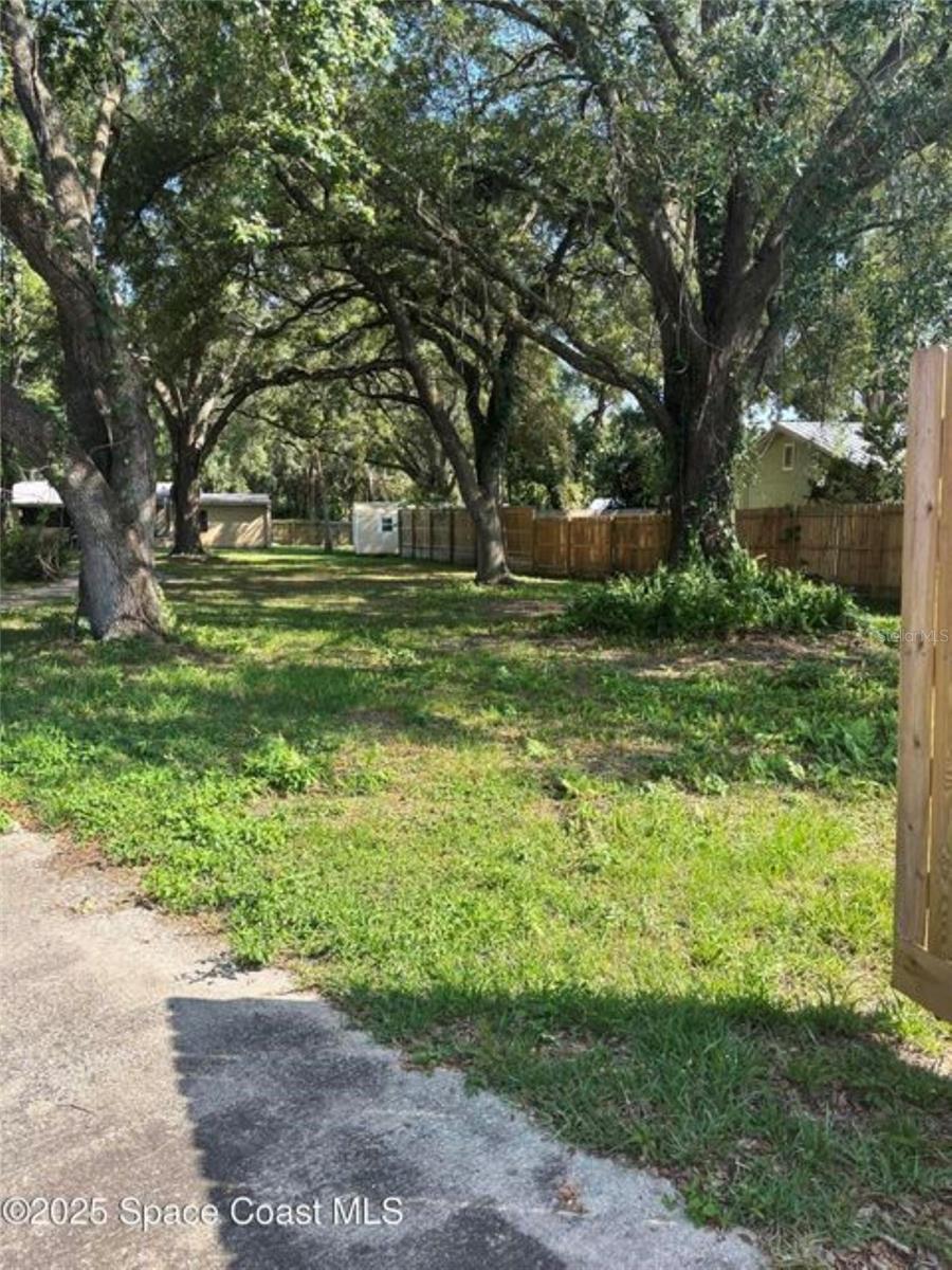 Image 3 of 9 For Birch Street