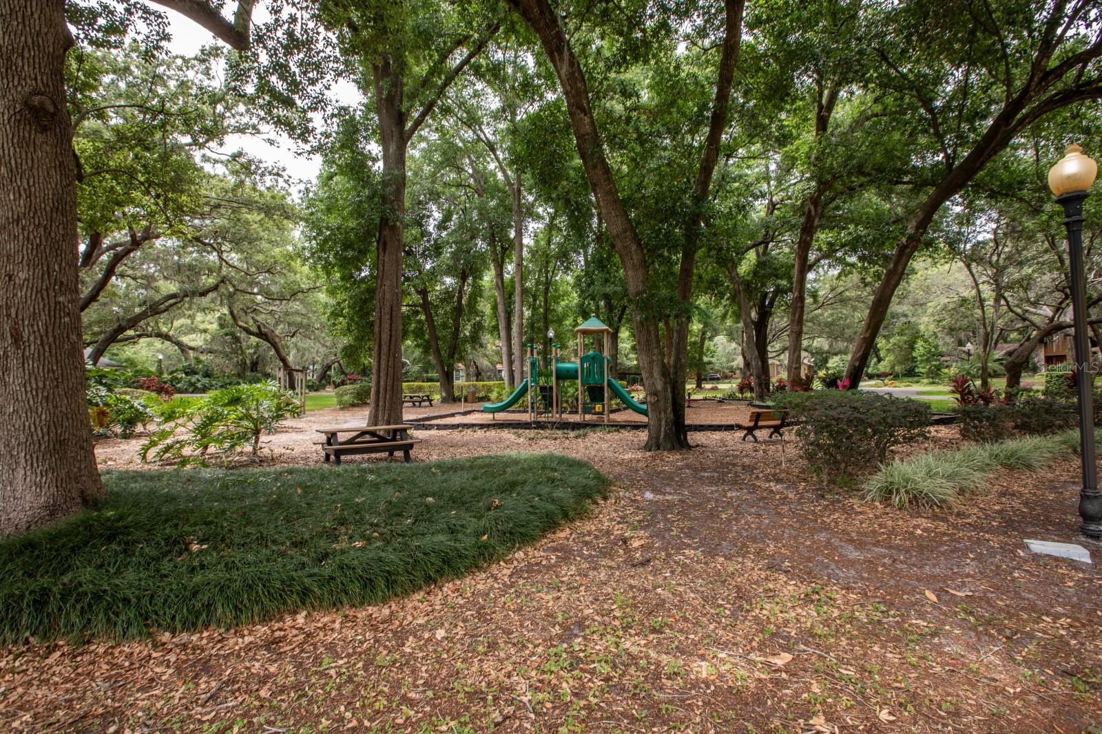 Image 36 of 41 For 1947 Broadleaf Court