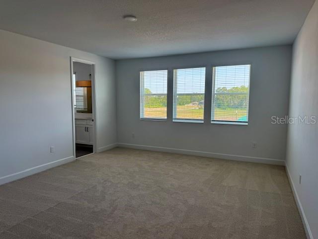Image 18 of 29 For 16851 Muskgrass Drive
