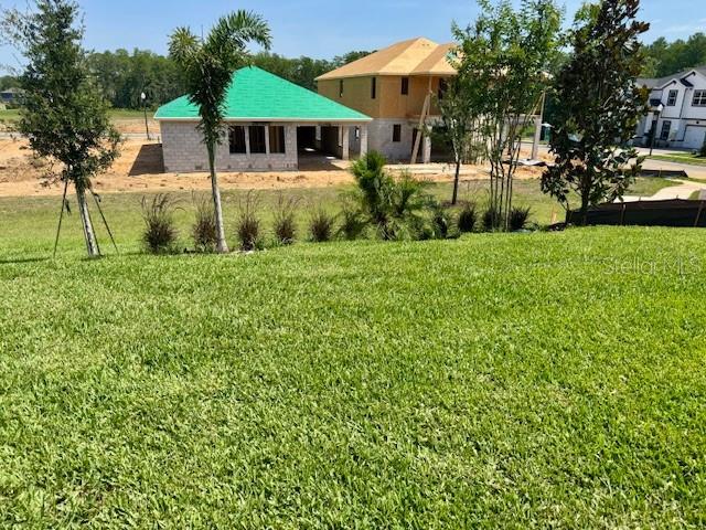 Image 29 of 29 For 16851 Muskgrass Drive