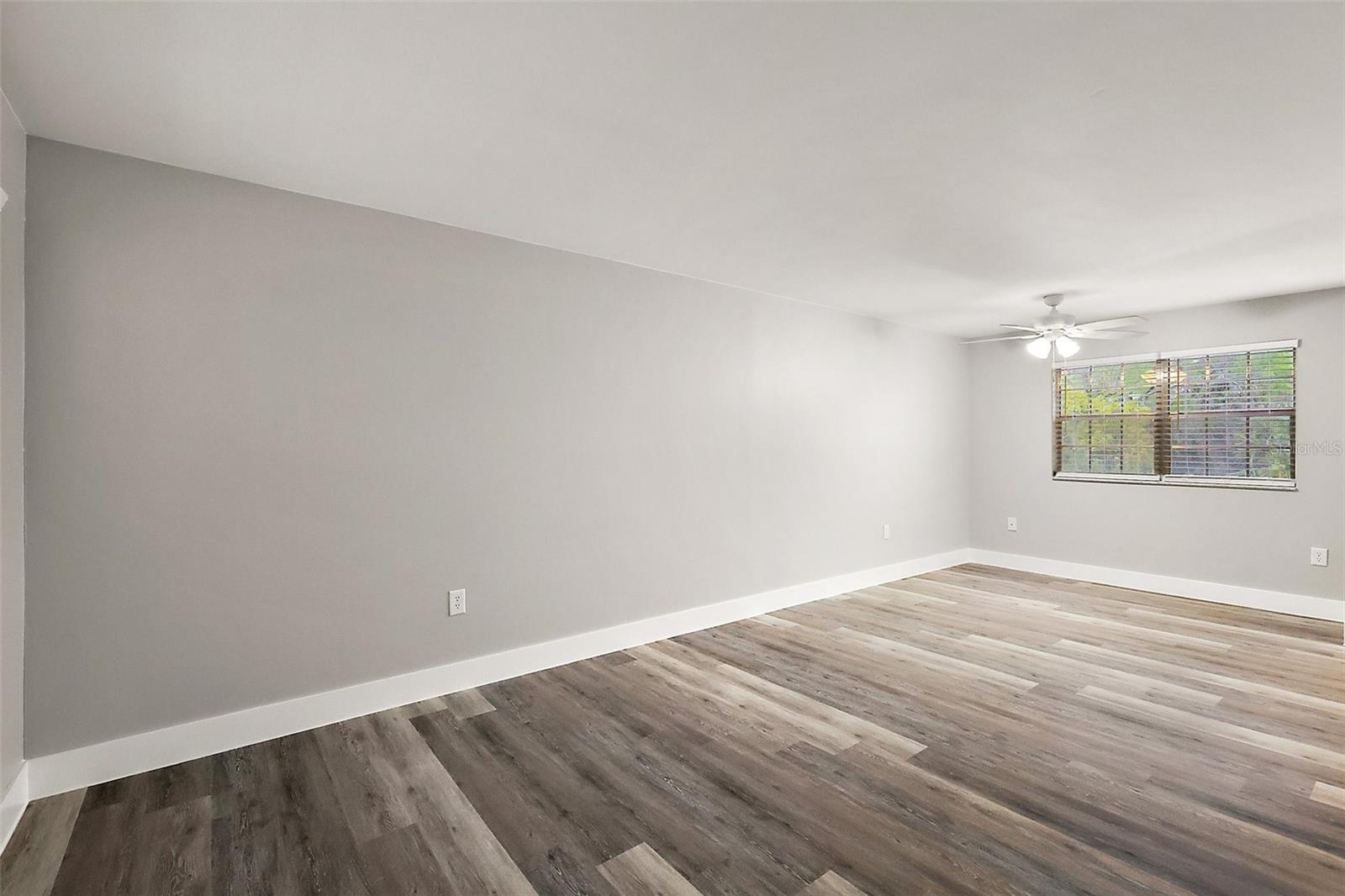 Image 6 of 25 For 420 Palmetto Street 5