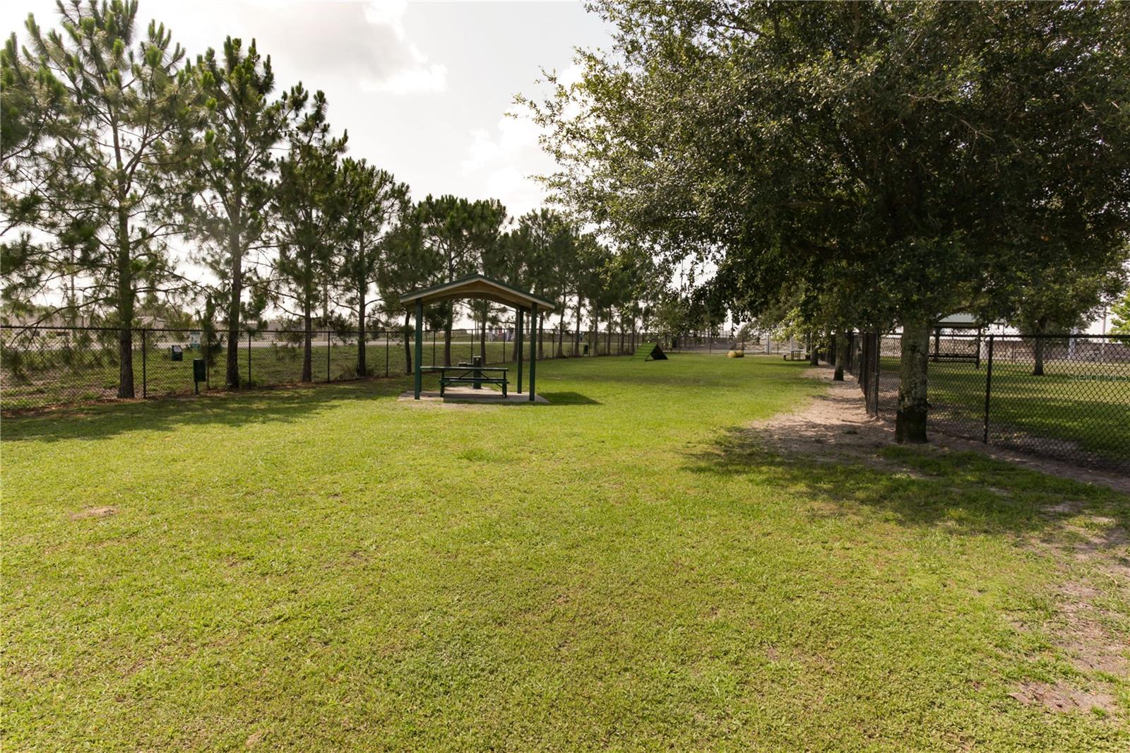 Image 44 of 49 For 2305 Rio Grande Forest Lane