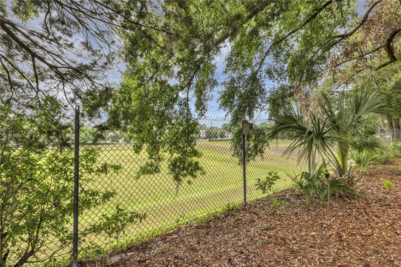 Image 45 of 50 For 2132 Palm Vista Drive