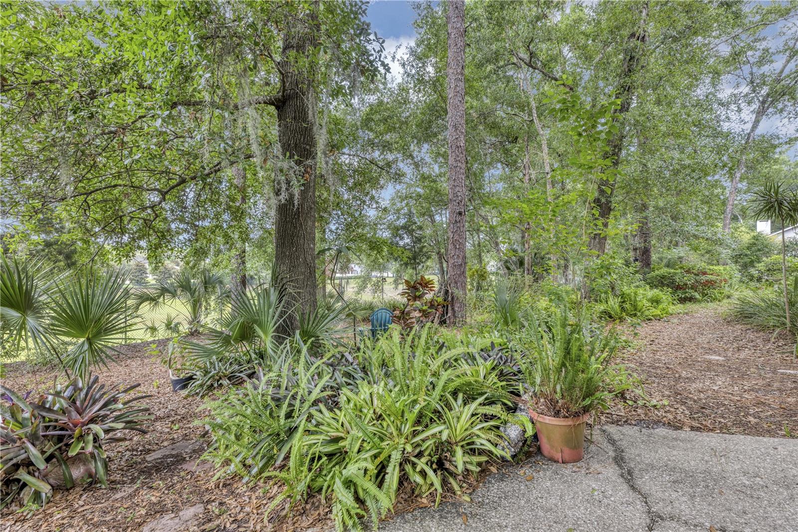 Image 49 of 50 For 2132 Palm Vista Drive