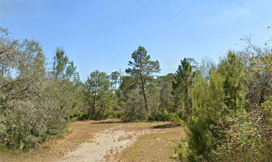 Details for 3206 Curlew Road, LAKE PLACID, FL 33852