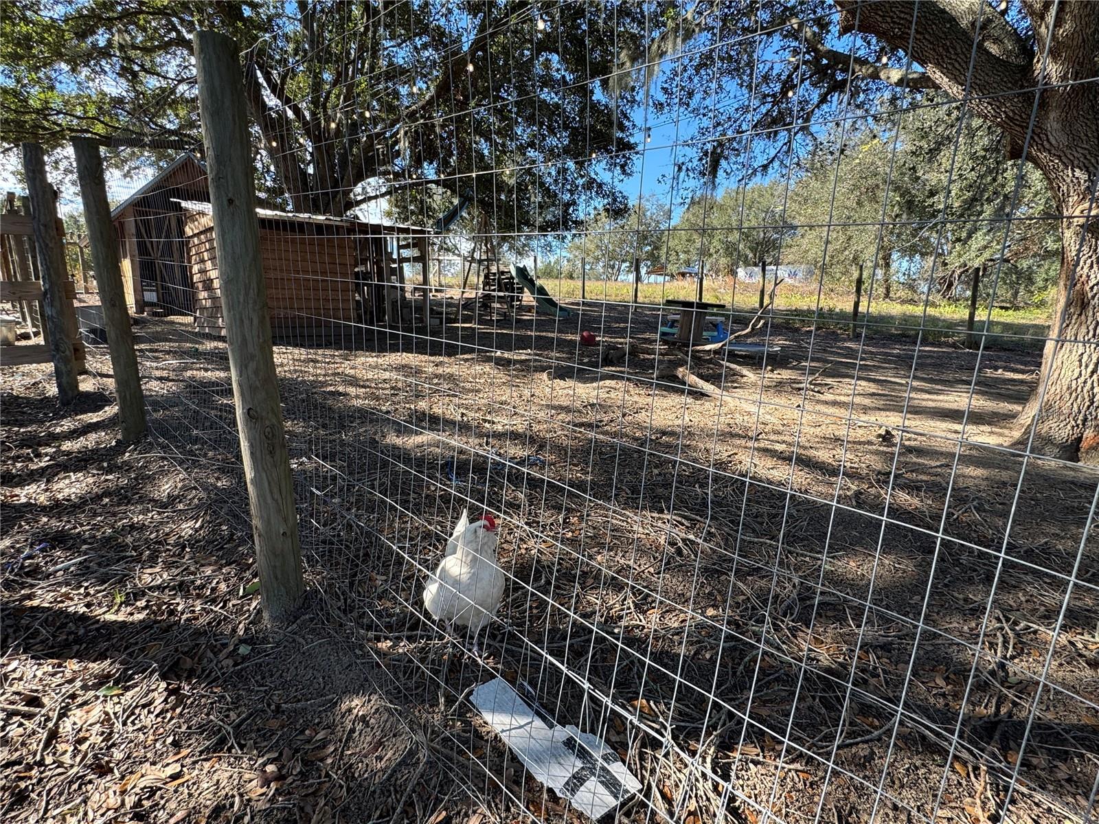 Image 17 of 53 For 17901 Coralwood Lane
