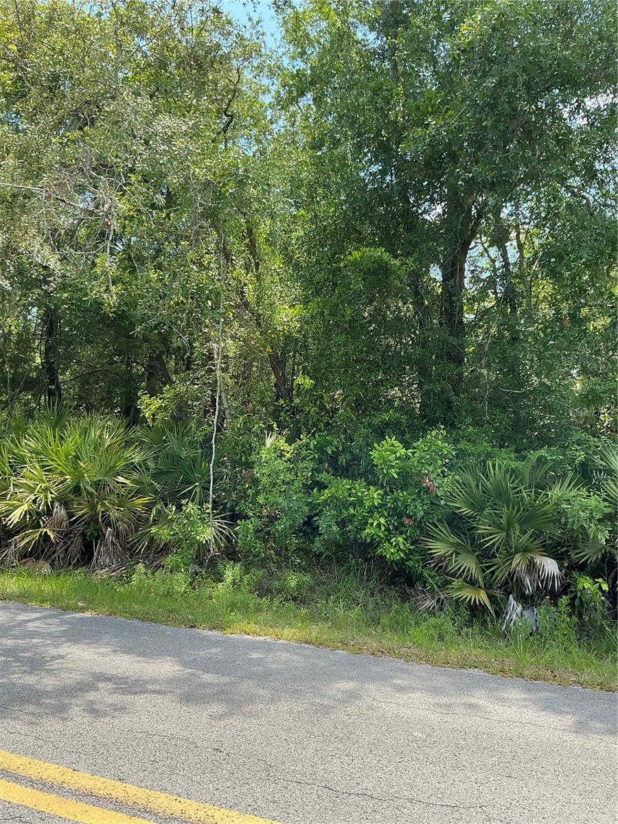 Image 2 of 3 For Lot 14 Nw 118th Ter