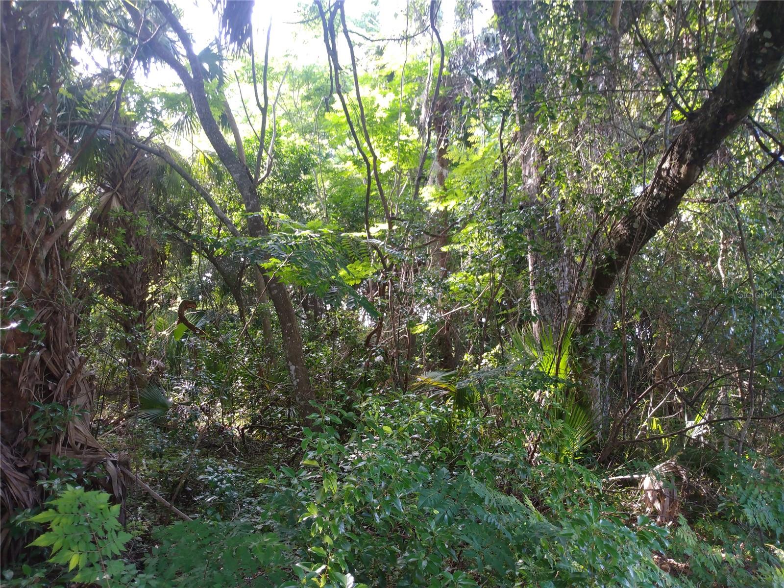 Image 2 of 3 For Address Not Provided