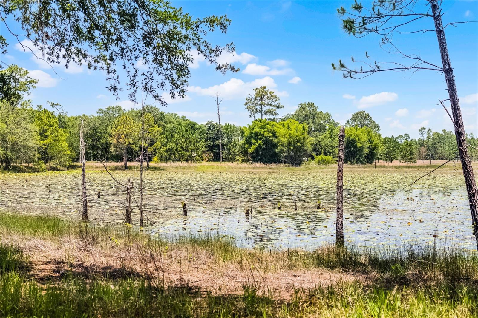 Image 68 of 80 For 4055 State Road 11