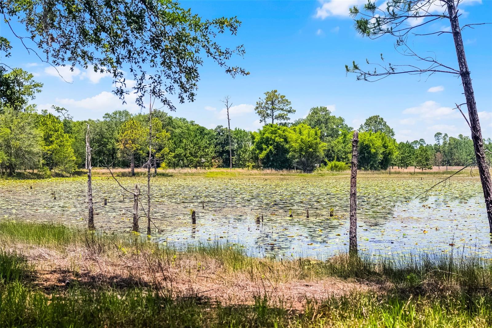 Image 8 of 80 For 4055 State Road 11