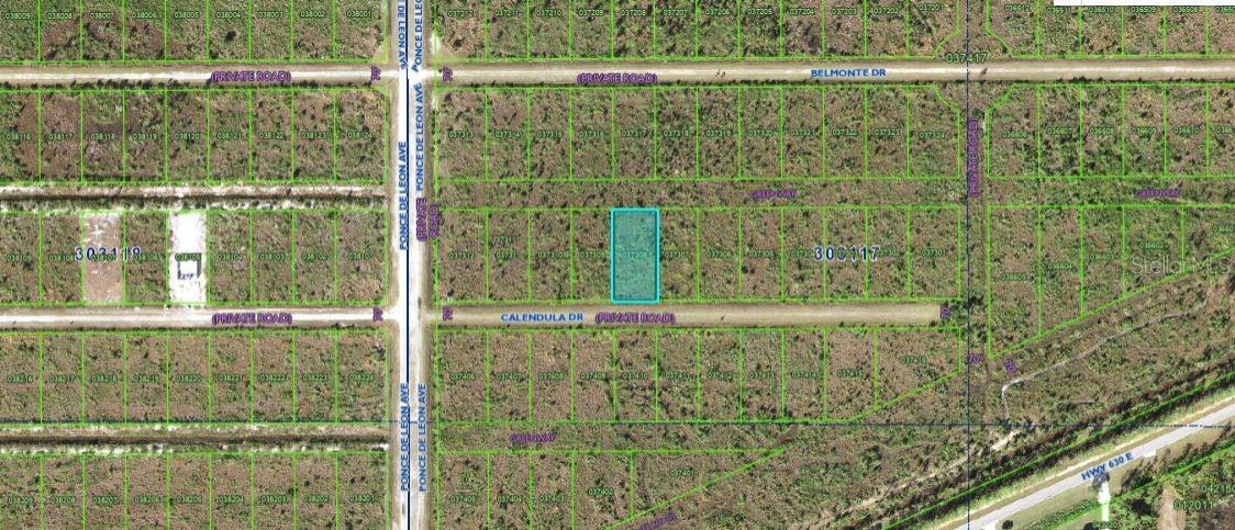 Image 4 of 5 For 316 Calendula Drive