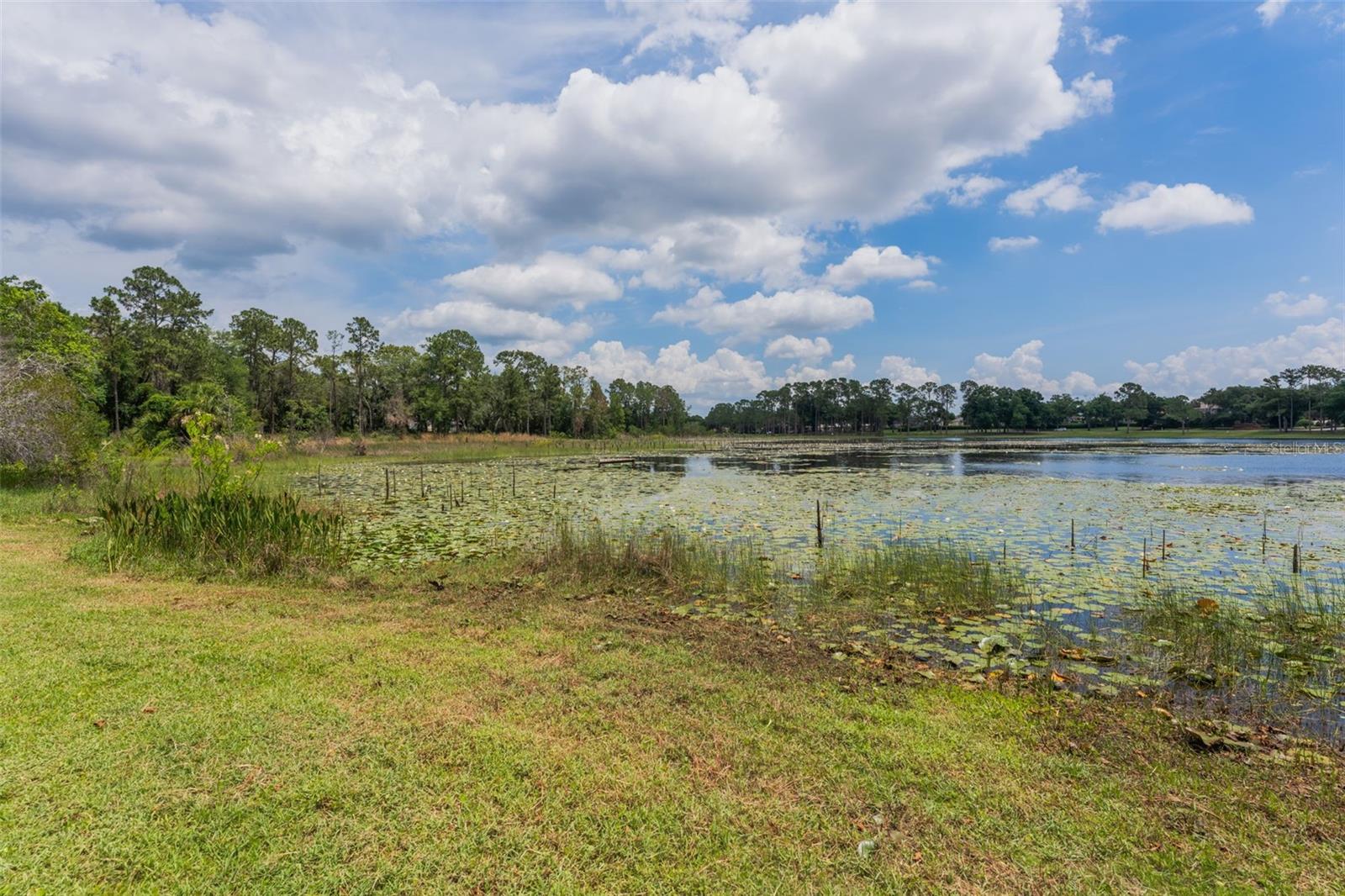 Image 47 of 63 For 120 Greentree Lane
