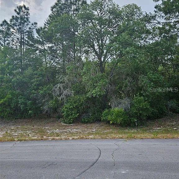 Details for Lot 13 Sw 145th Place Rd, DUNNELLON, FL 34432