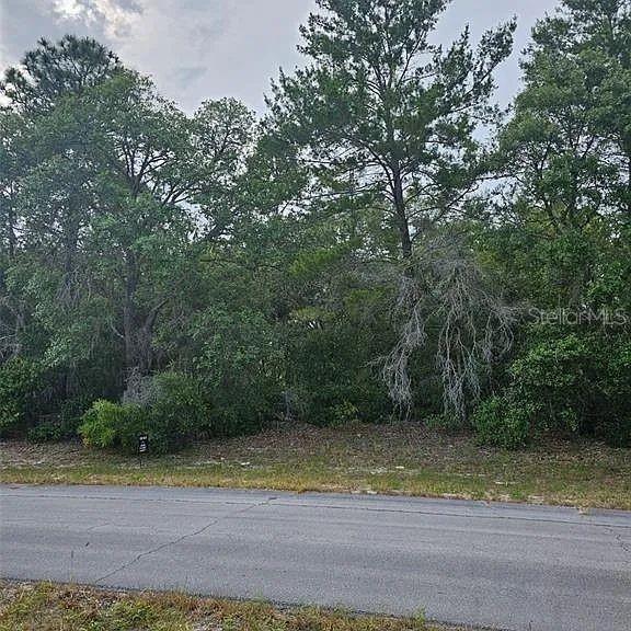 Image 4 of 7 For Lot 13 Sw 145th Place Rd