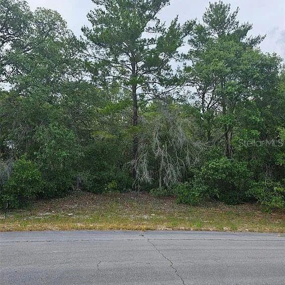 Image 5 of 7 For Lot 13 Sw 145th Place Rd