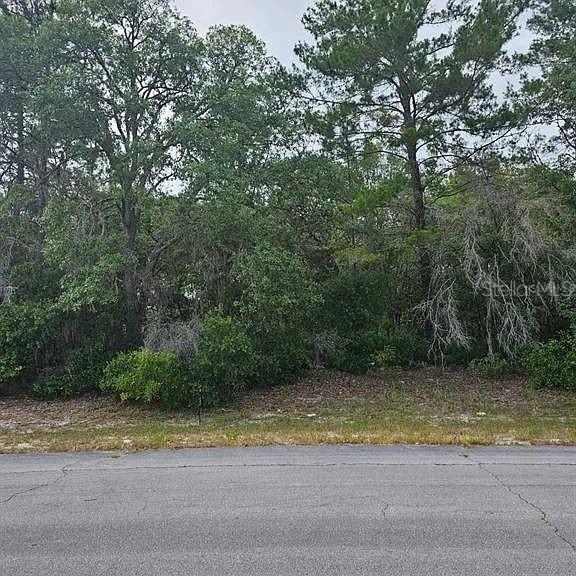 Image 6 of 7 For Lot 13 Sw 145th Place Rd
