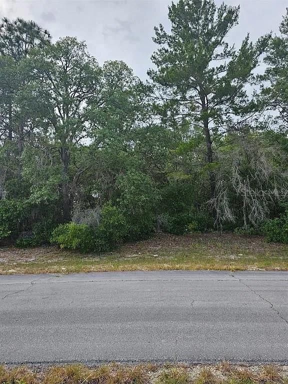 Image 7 of 7 For Lot 13 Sw 145th Place Rd