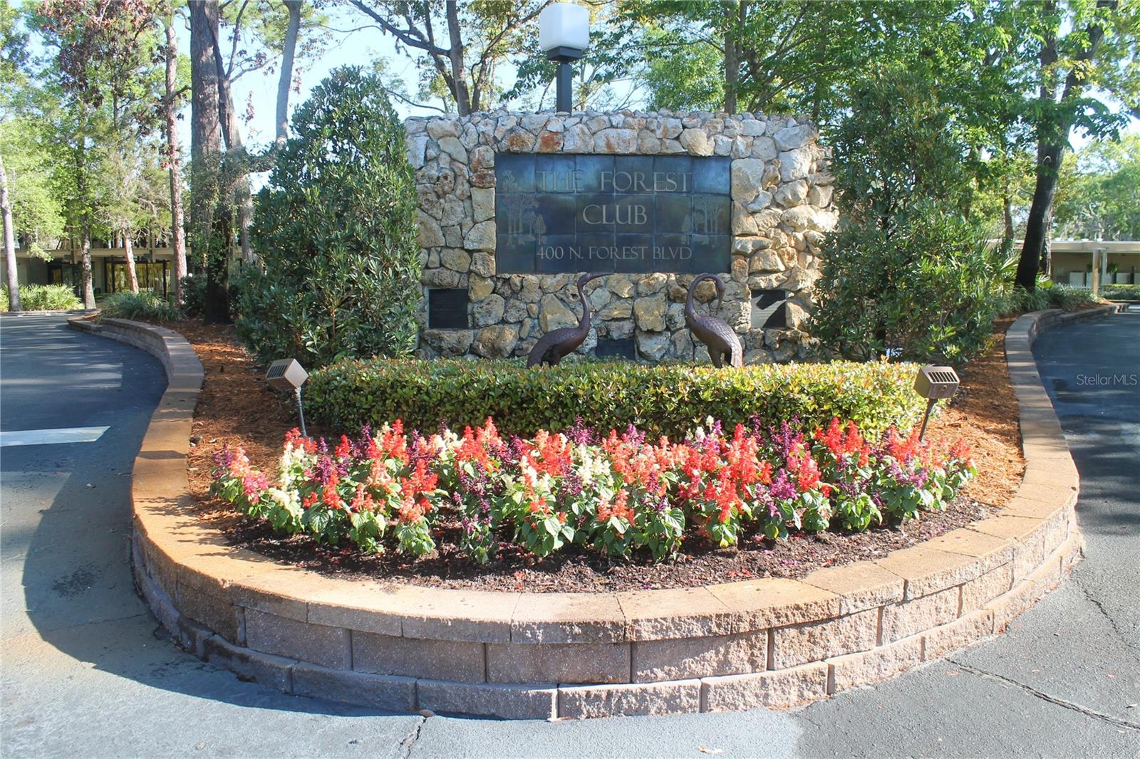Image 28 of 54 For 203 Forest Boulevard