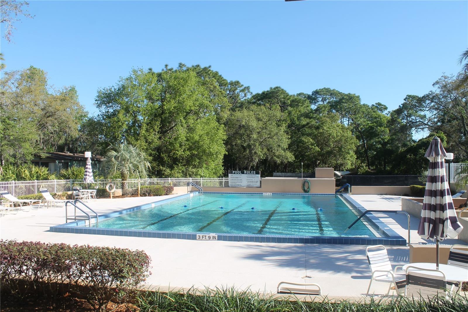 Image 40 of 54 For 203 Forest Boulevard