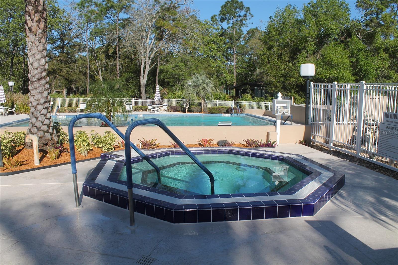 Image 41 of 54 For 203 Forest Boulevard
