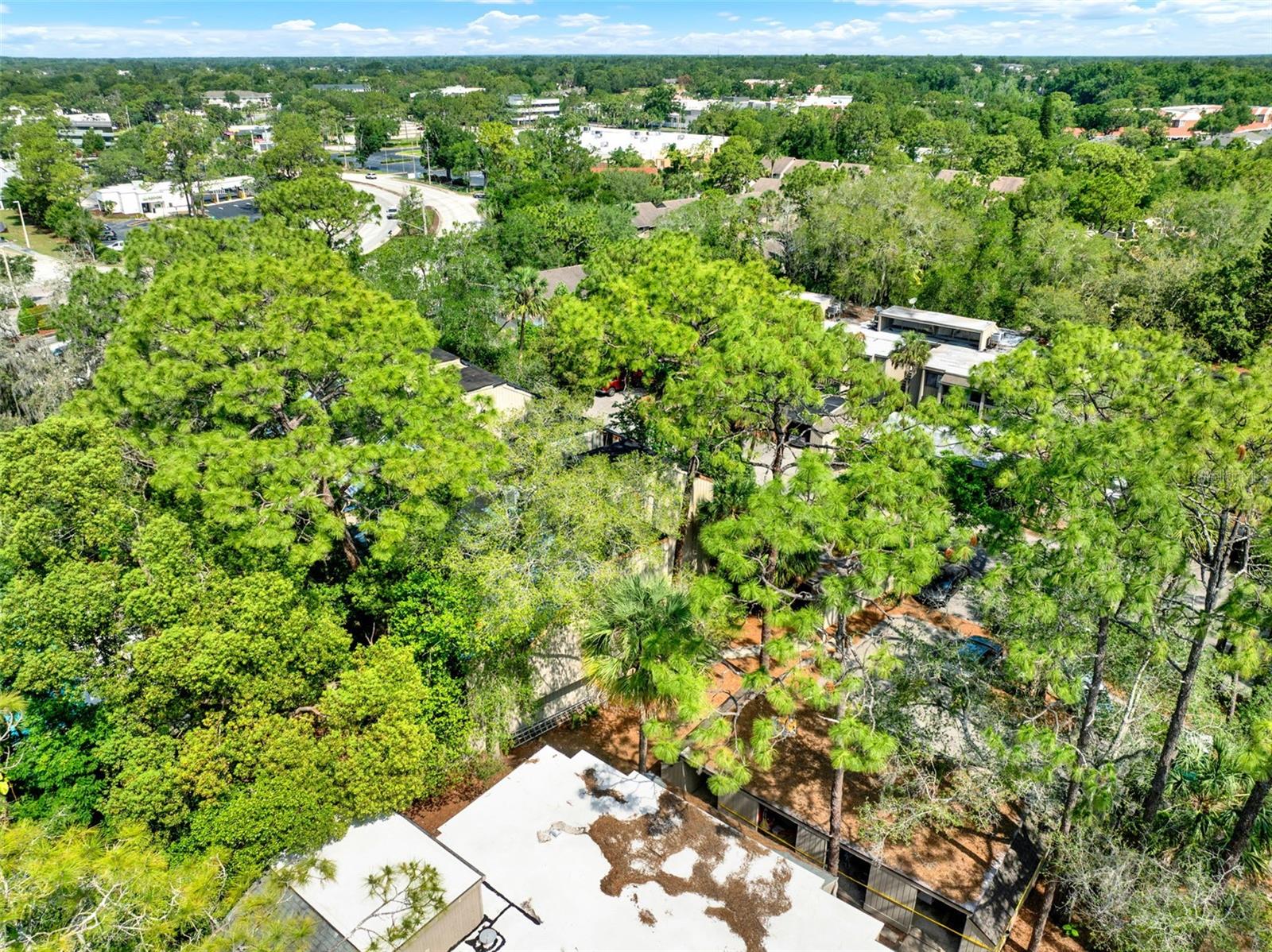Image 32 of 47 For 109 Crown Oaks Way 109