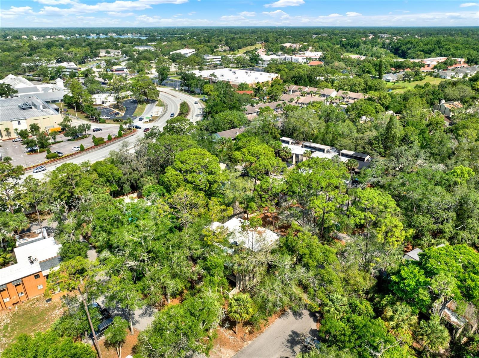 Image 33 of 47 For 109 Crown Oaks Way 109