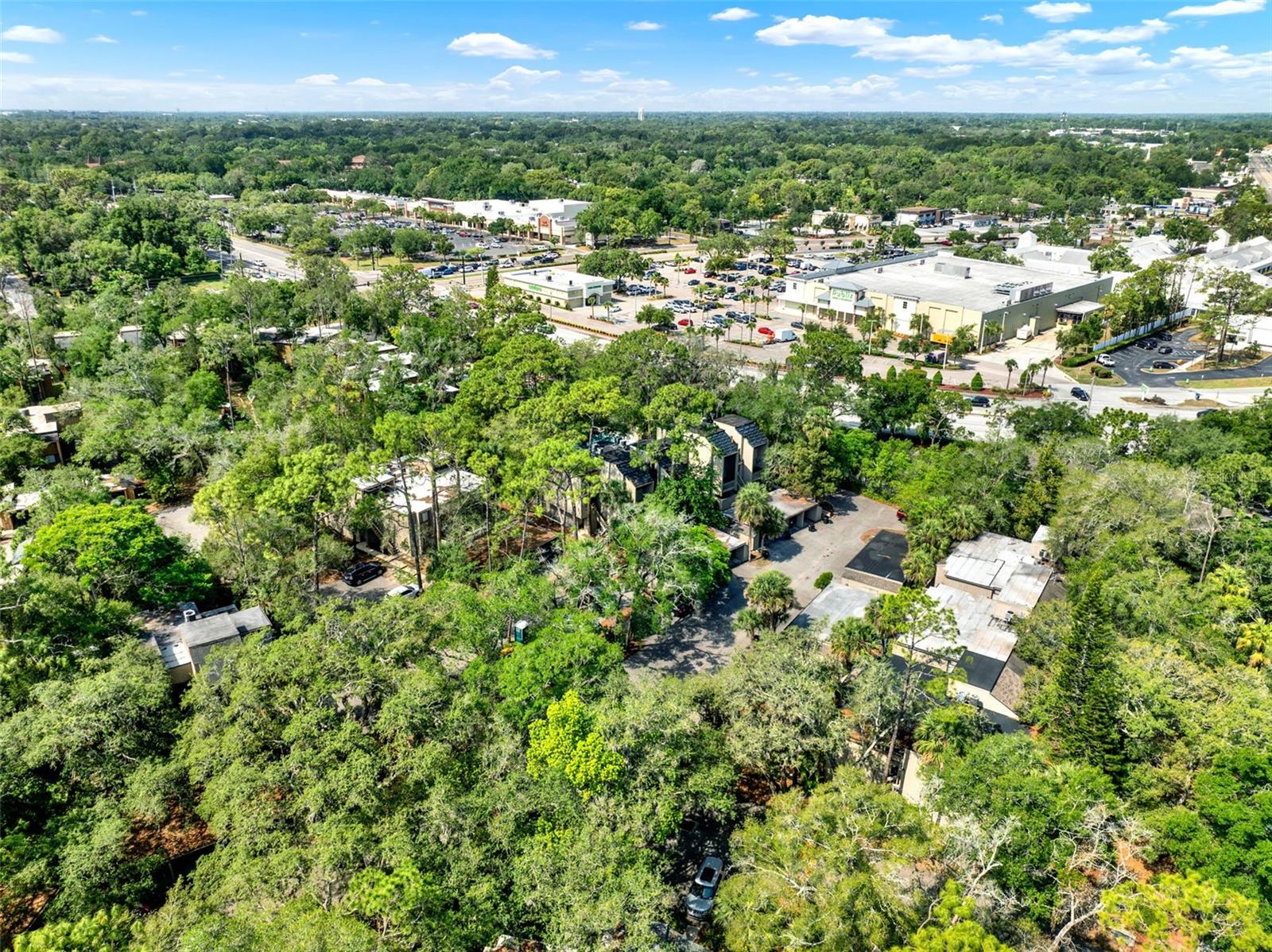 Image 34 of 47 For 109 Crown Oaks Way 109