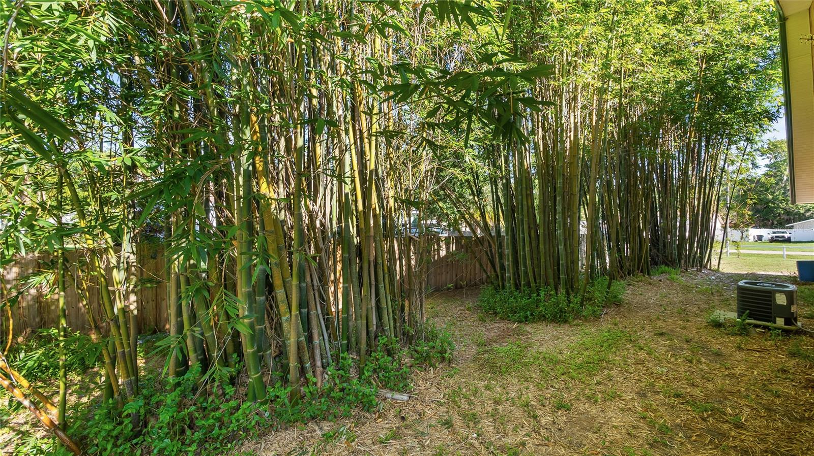 Listing photo id 34 for 287 Hilltop Drive