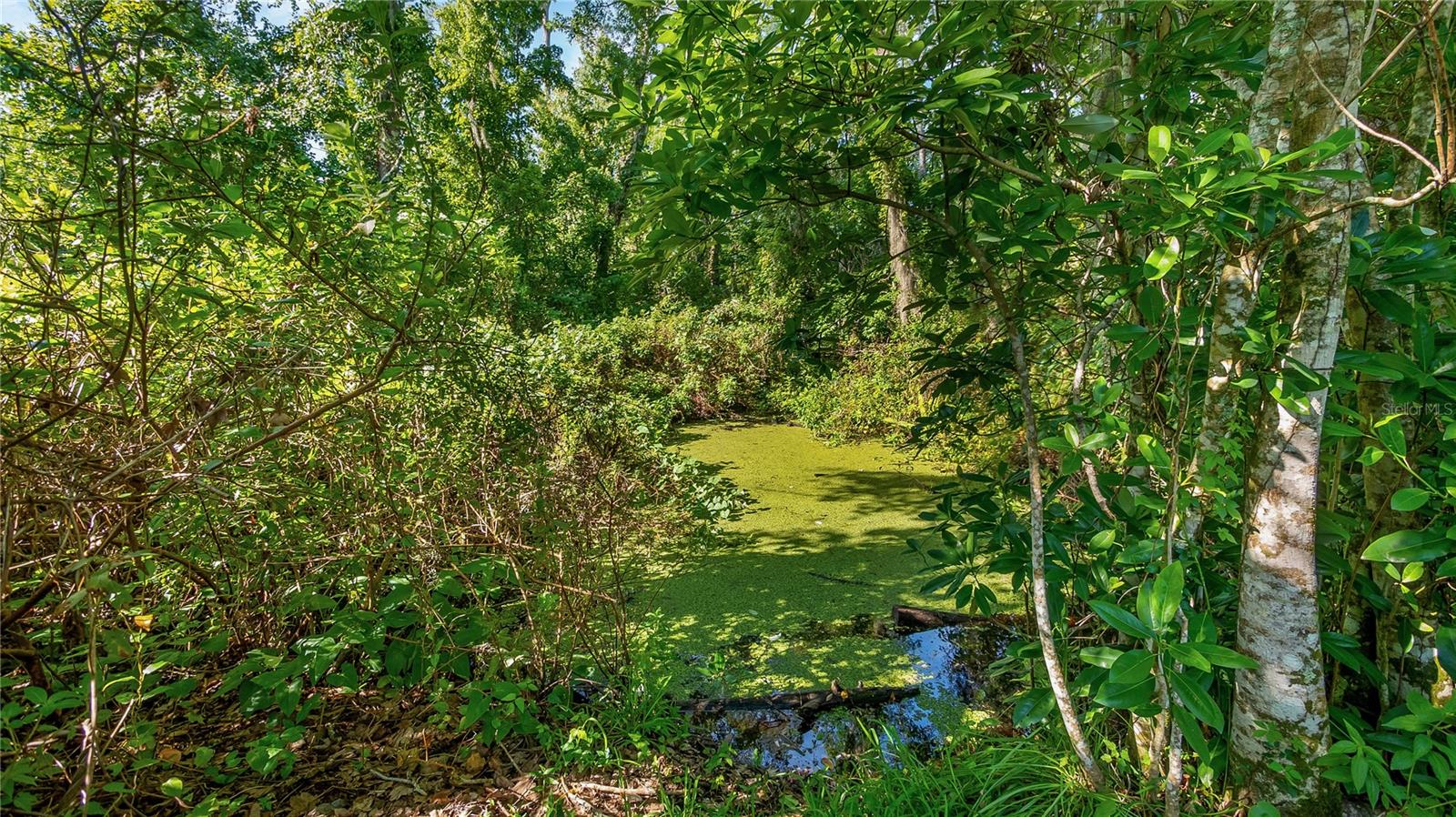 Listing photo id 35 for 287 Hilltop Drive
