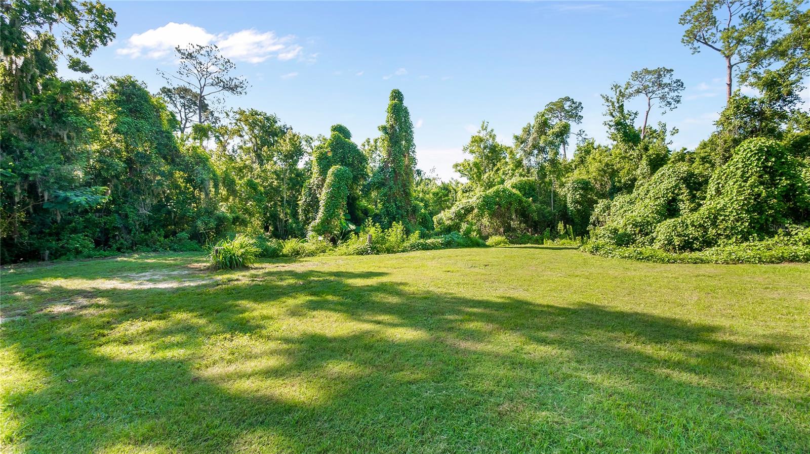 Listing photo id 36 for 287 Hilltop Drive