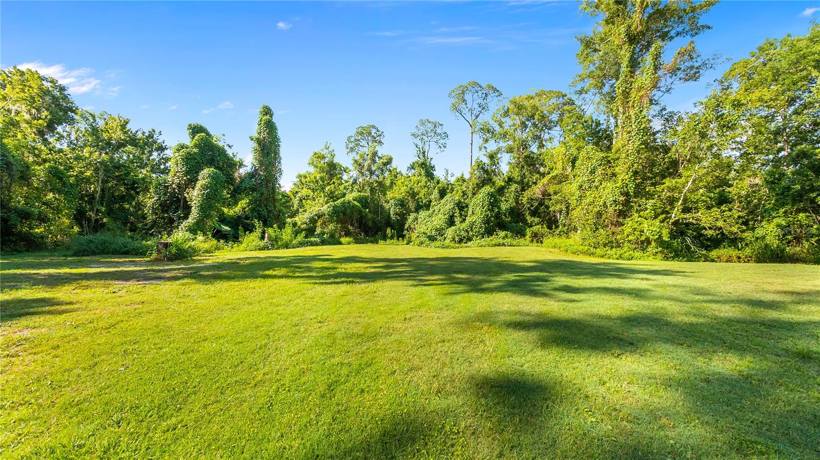 Listing photo id 37 for 287 Hilltop Drive