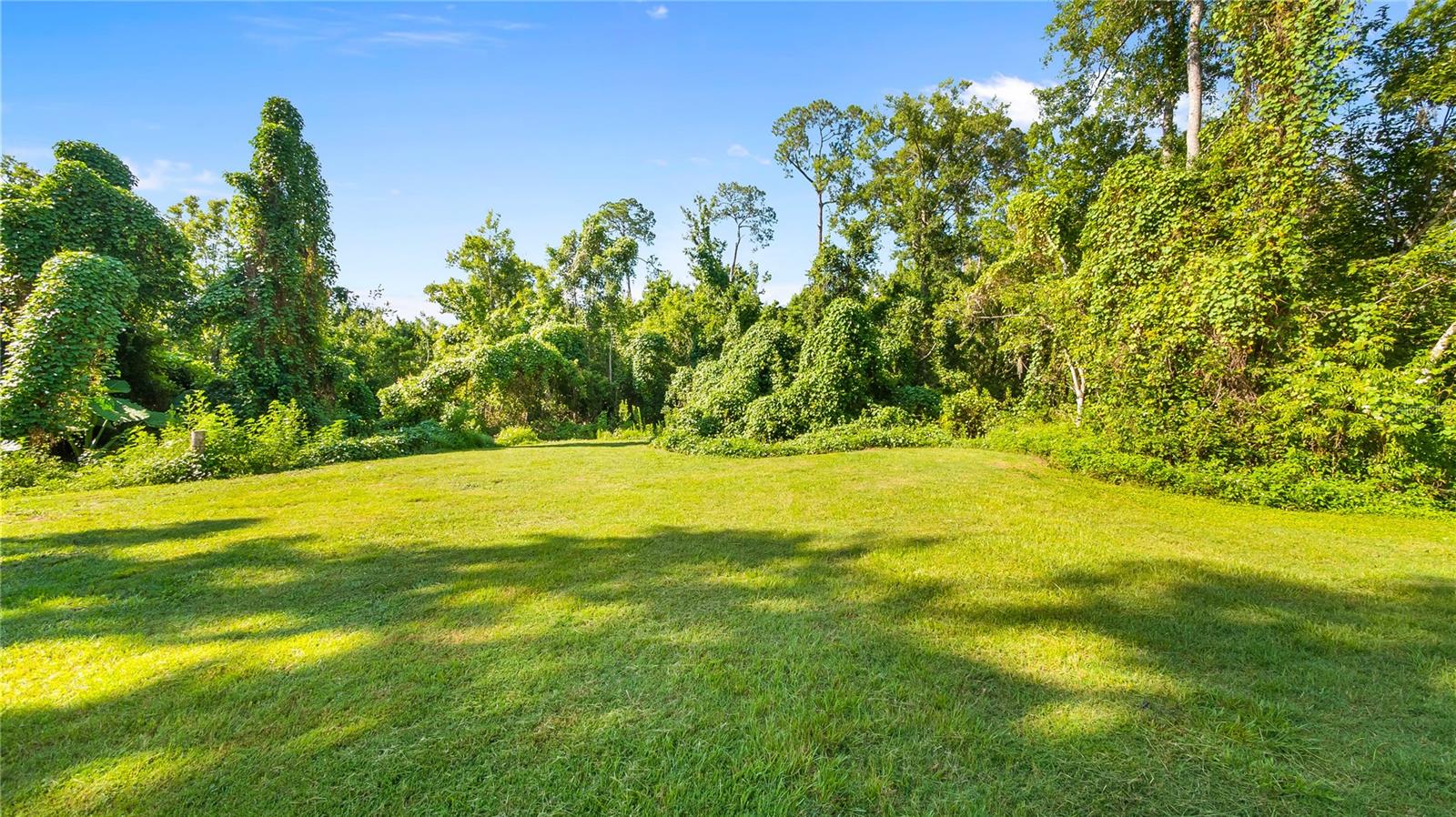 Listing photo id 39 for 287 Hilltop Drive