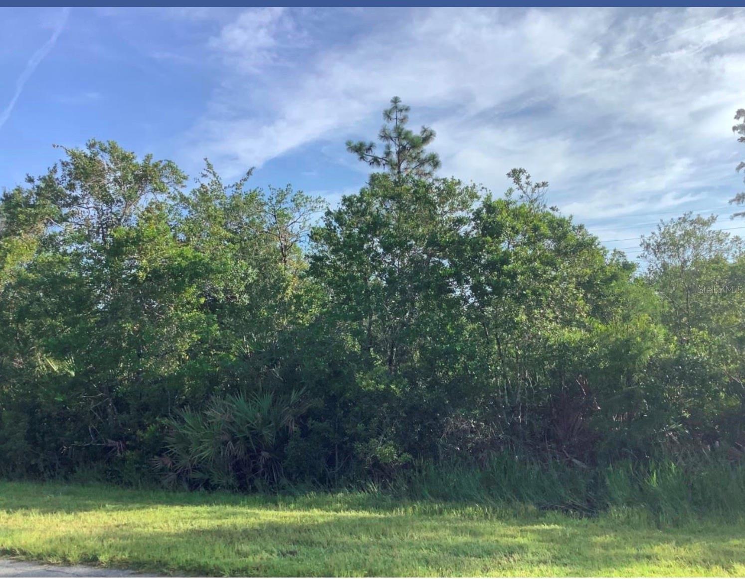 Listing Details for Wembley Avenue, ORLANDO, FL 32833