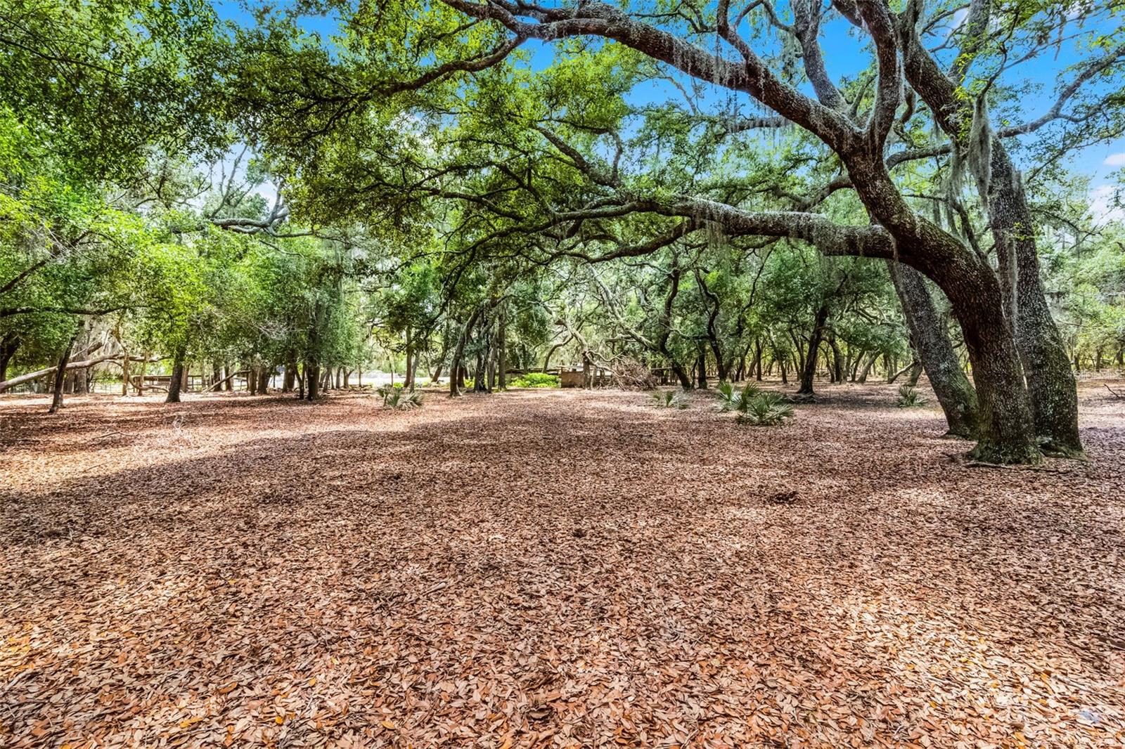 Image 6 of 83 For 4055 State Road 11