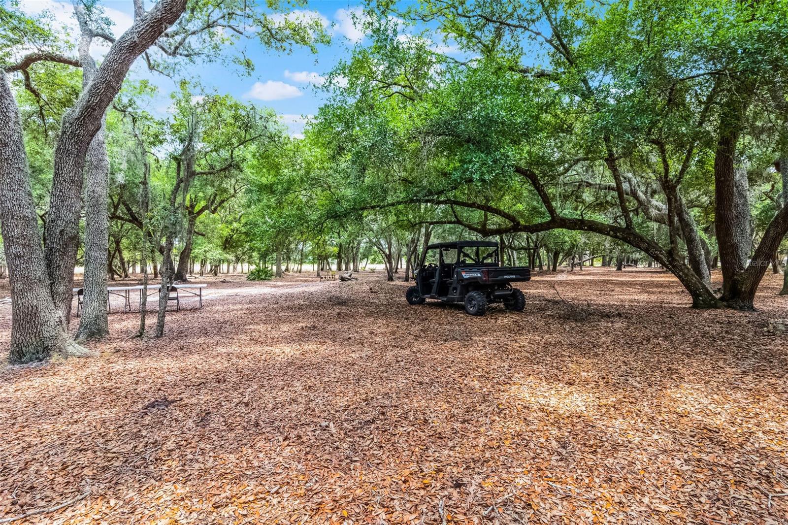 Image 7 of 83 For 4055 State Road 11