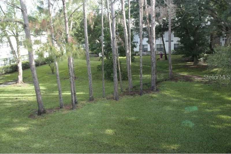 Image 8 of 34 For 1808 Northlake Drive 1808