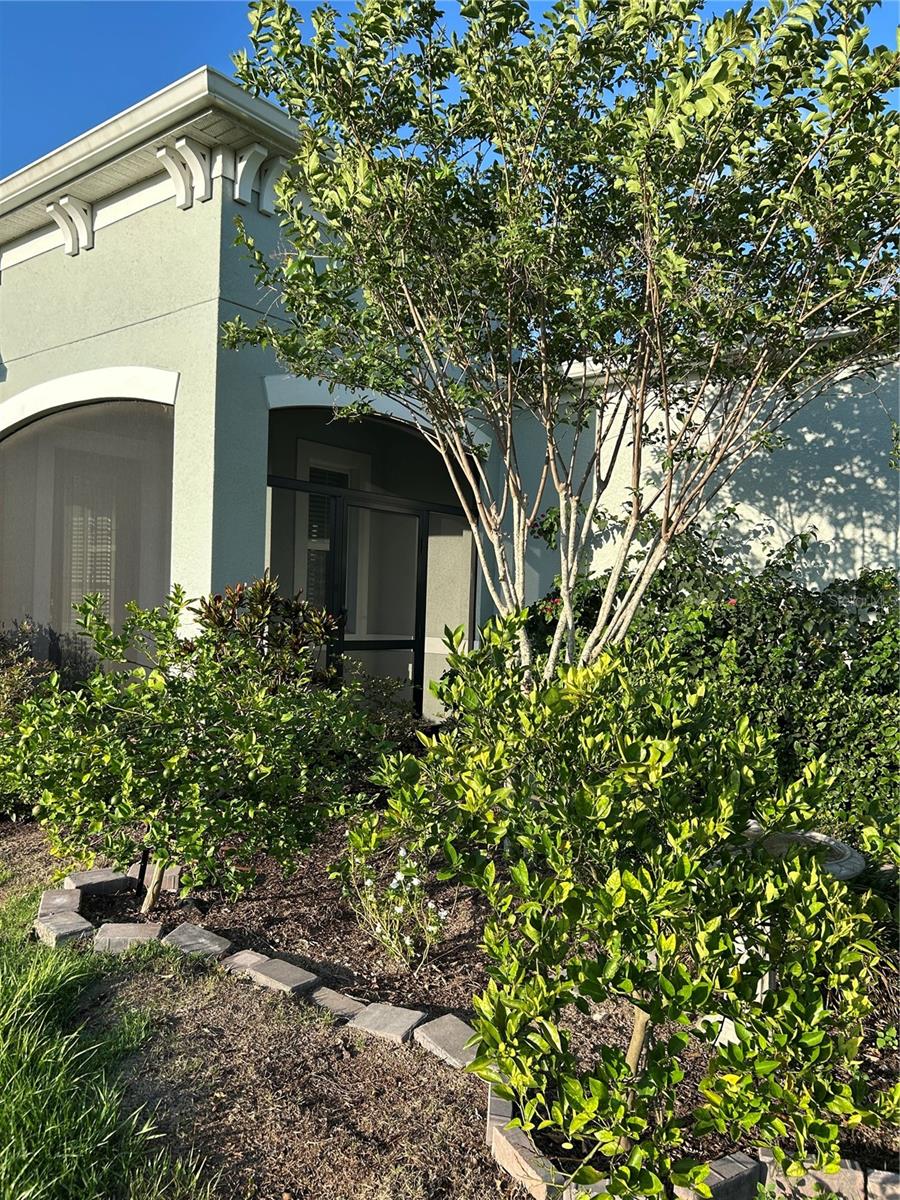 Image 10 of 72 For 7661 Sand Pierre Court