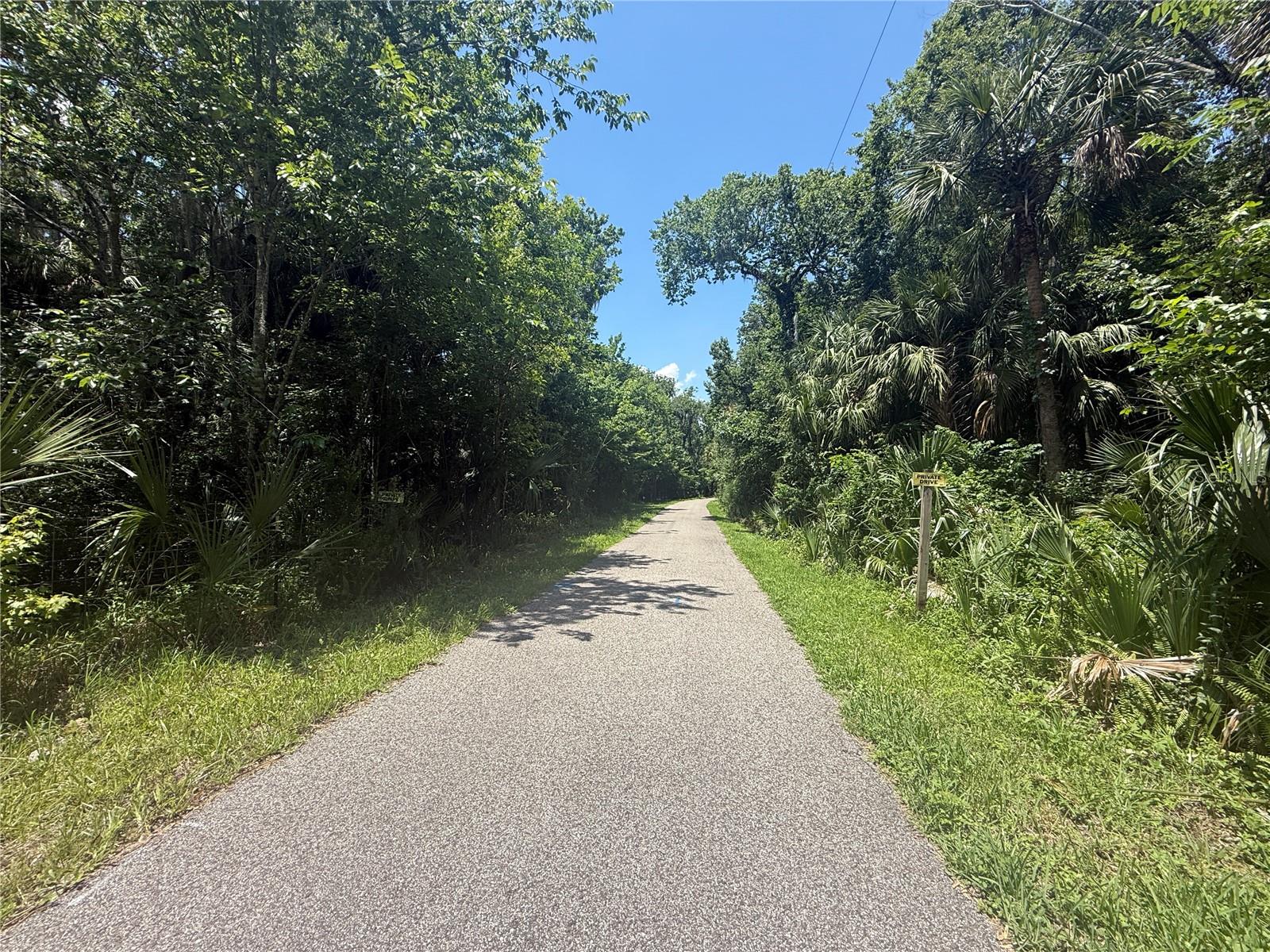 Image 10 of 16 For Independence Avenue
