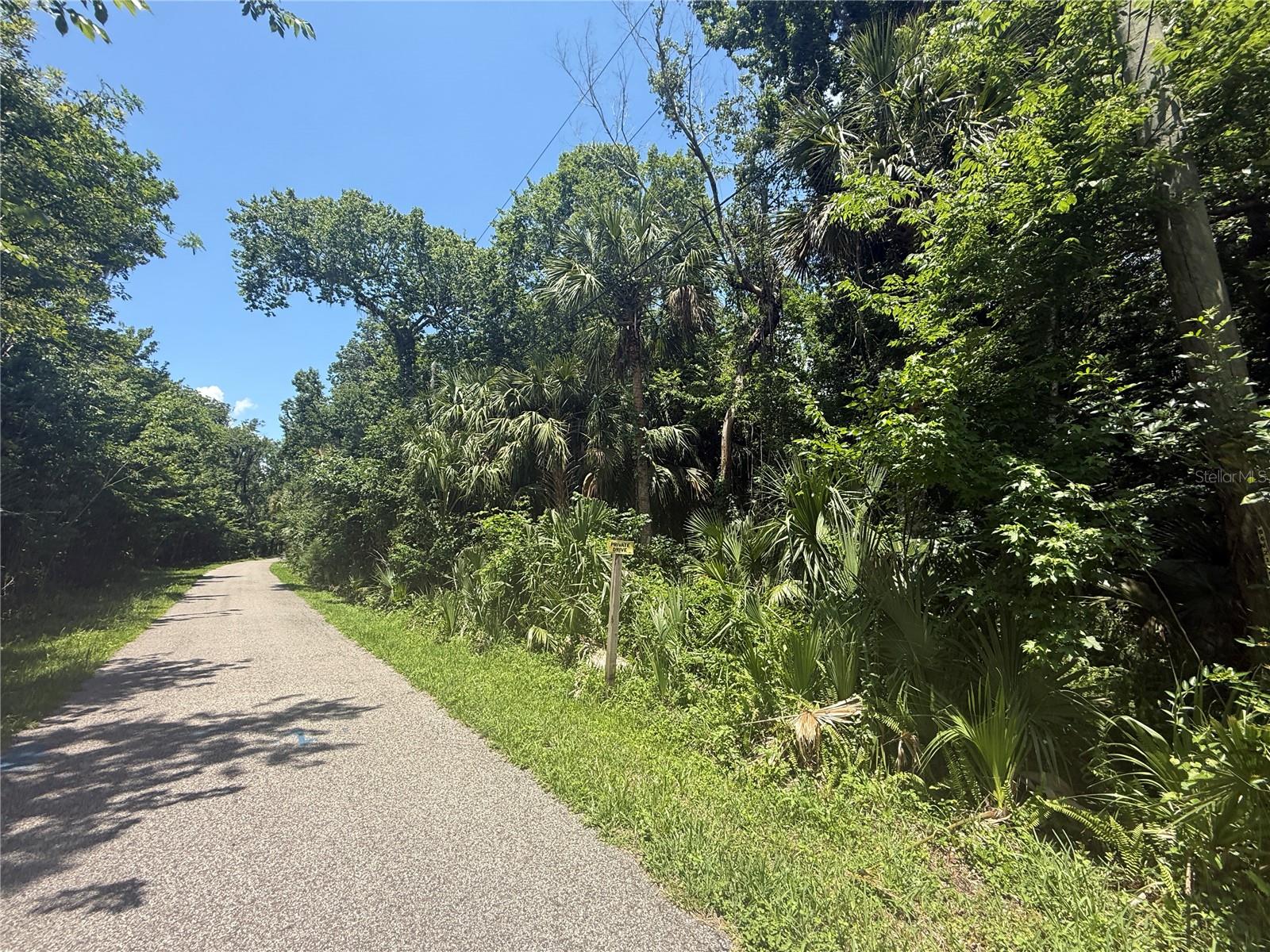 Image 11 of 16 For Independence Avenue