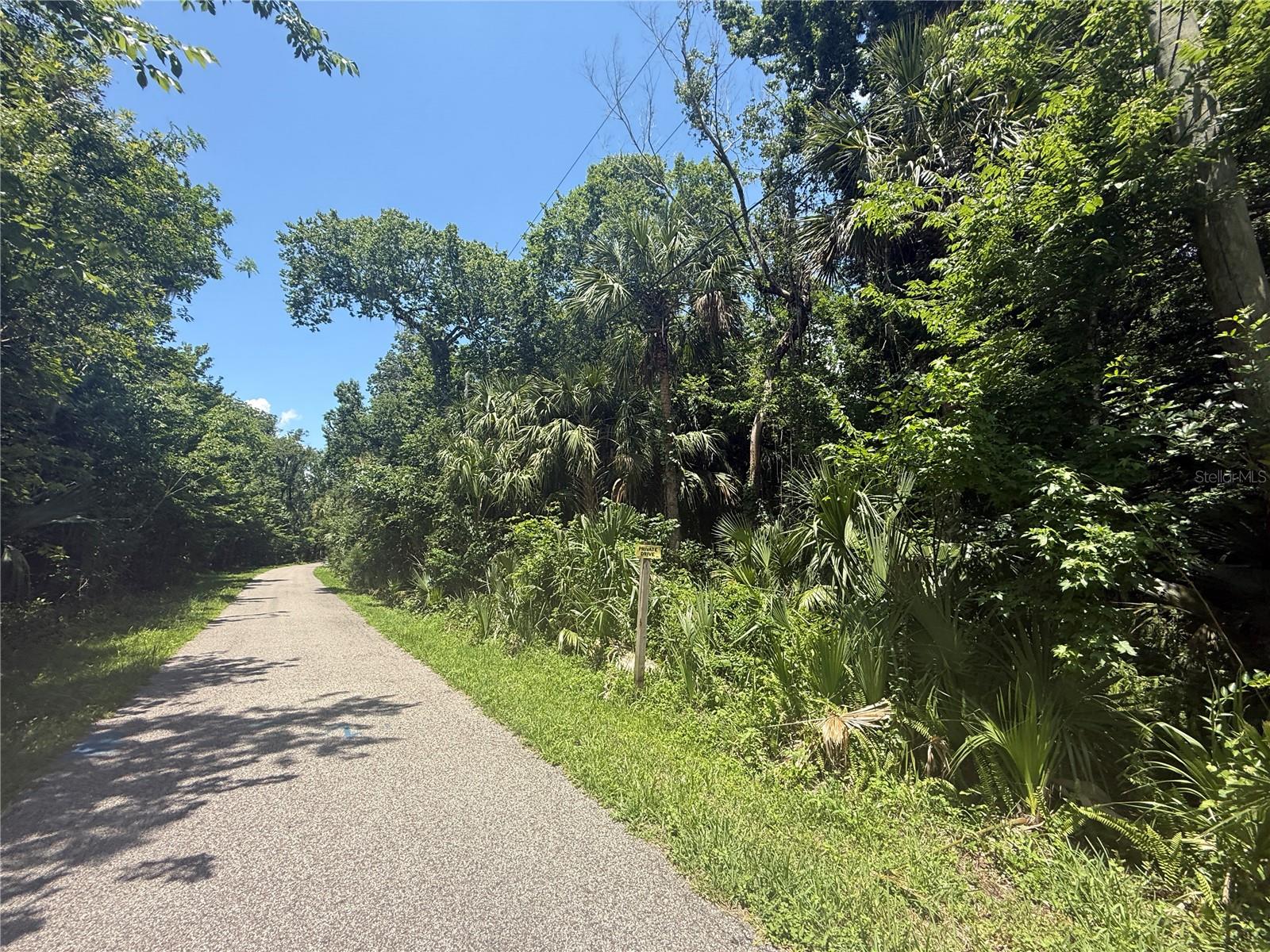 Image 12 of 16 For Independence Avenue