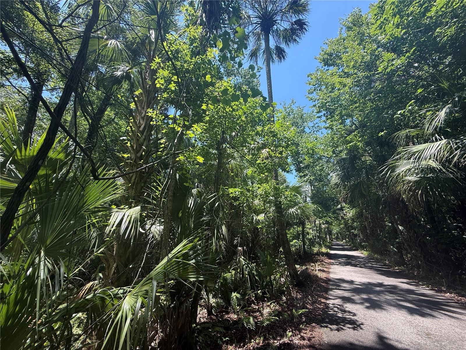 Image 6 of 16 For Independence Avenue