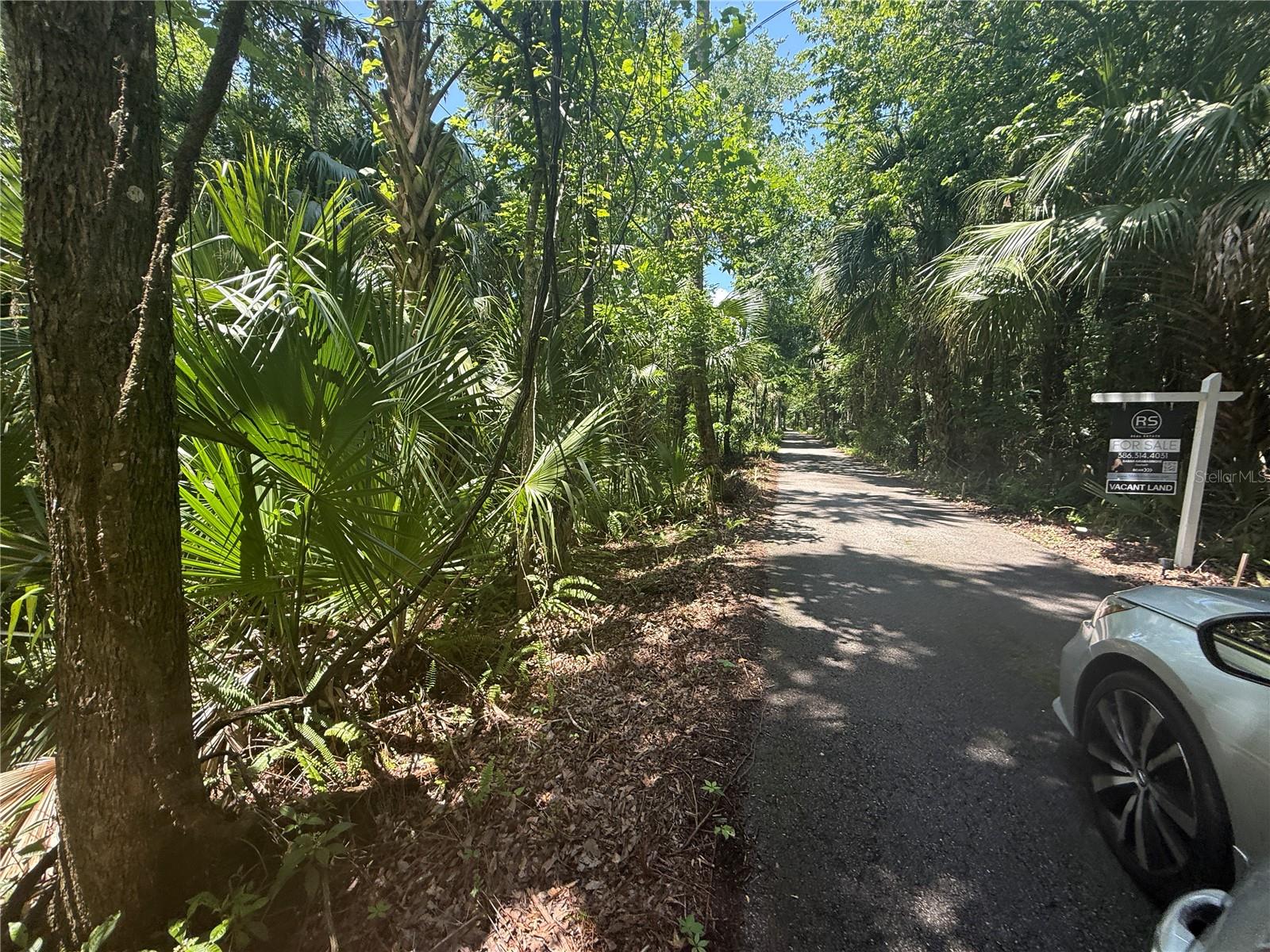 Image 8 of 16 For Independence Avenue