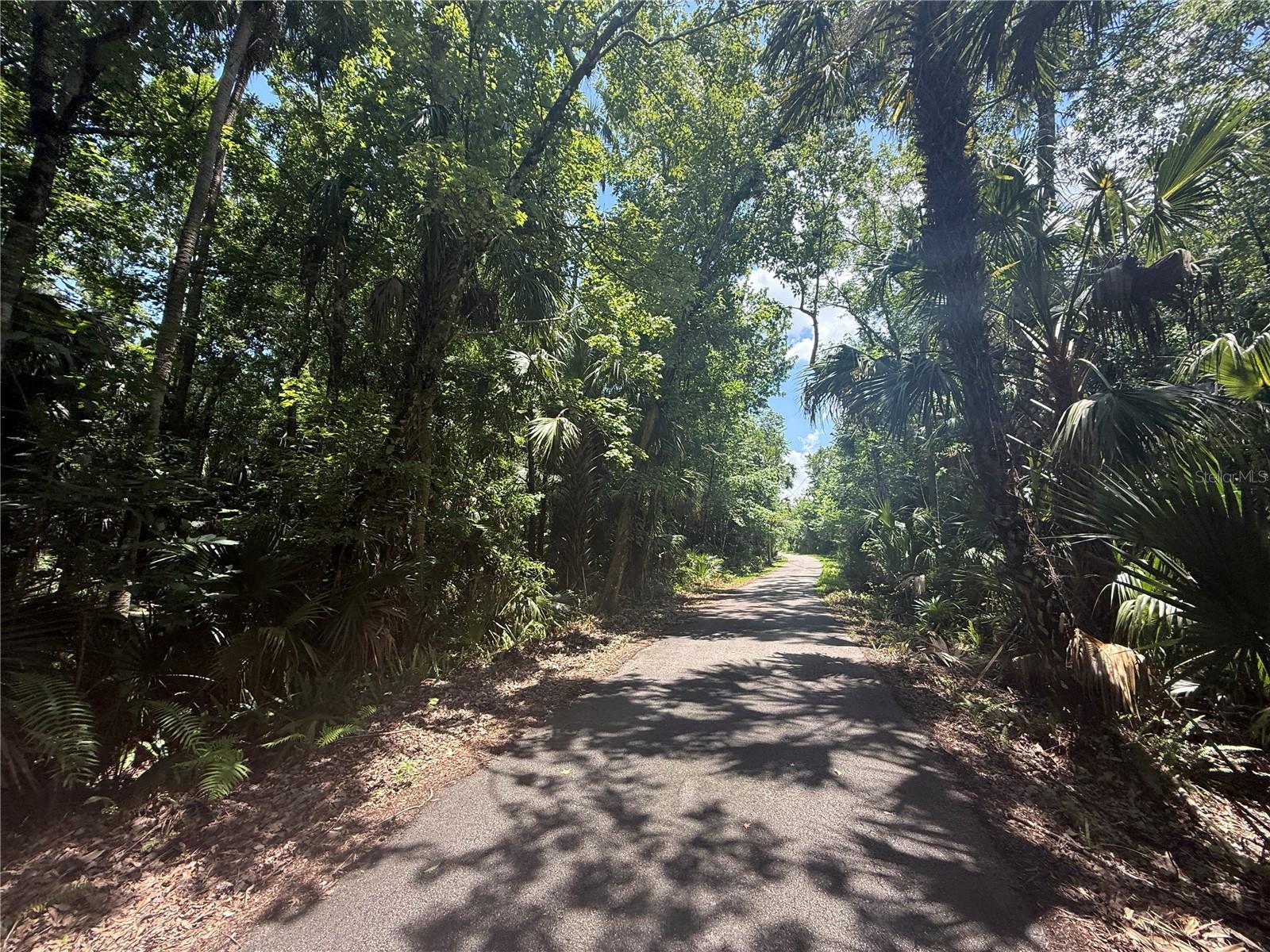 Image 9 of 16 For Independence Avenue