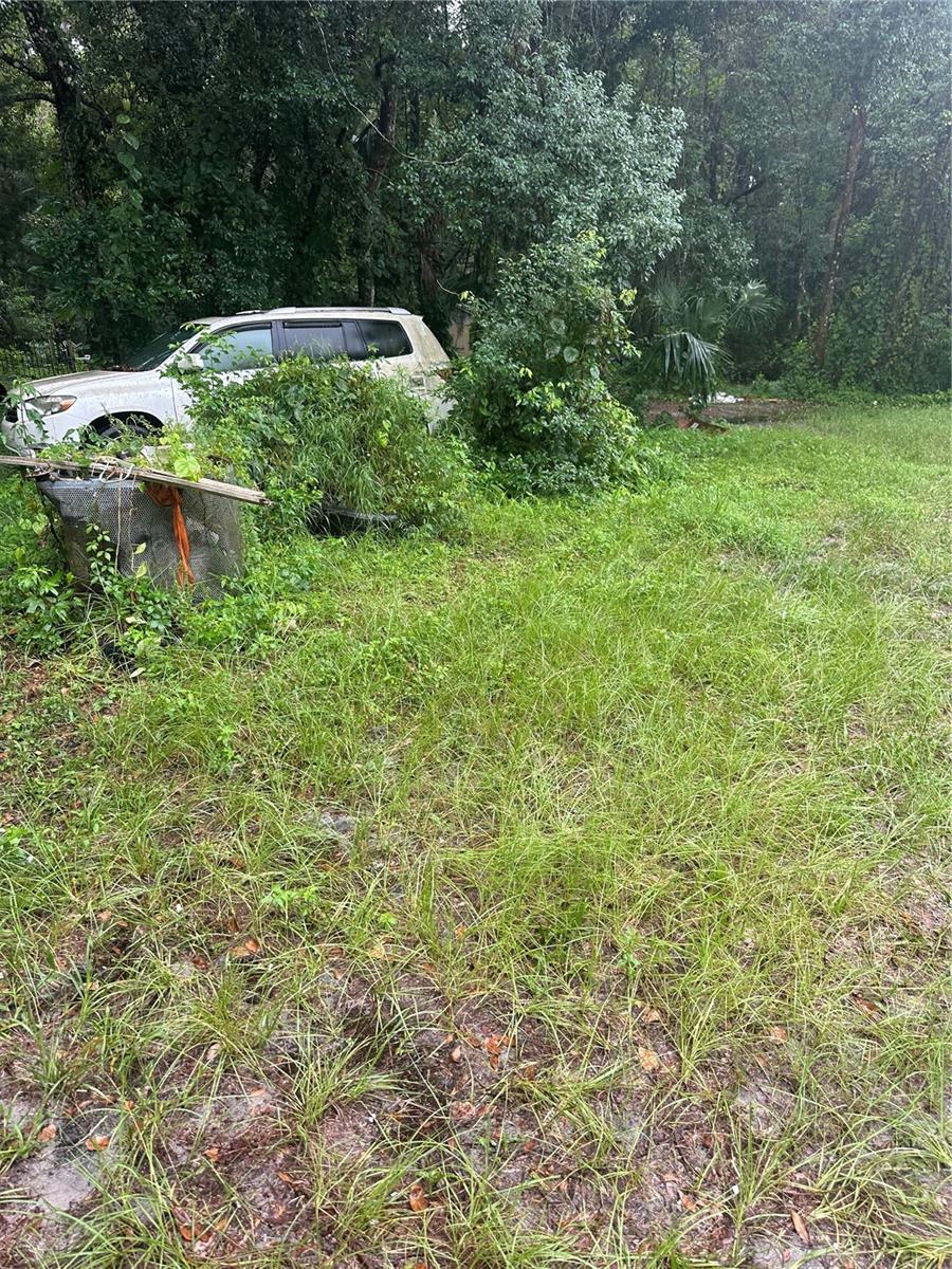 Image 10 of 13 For Beresford Avenue