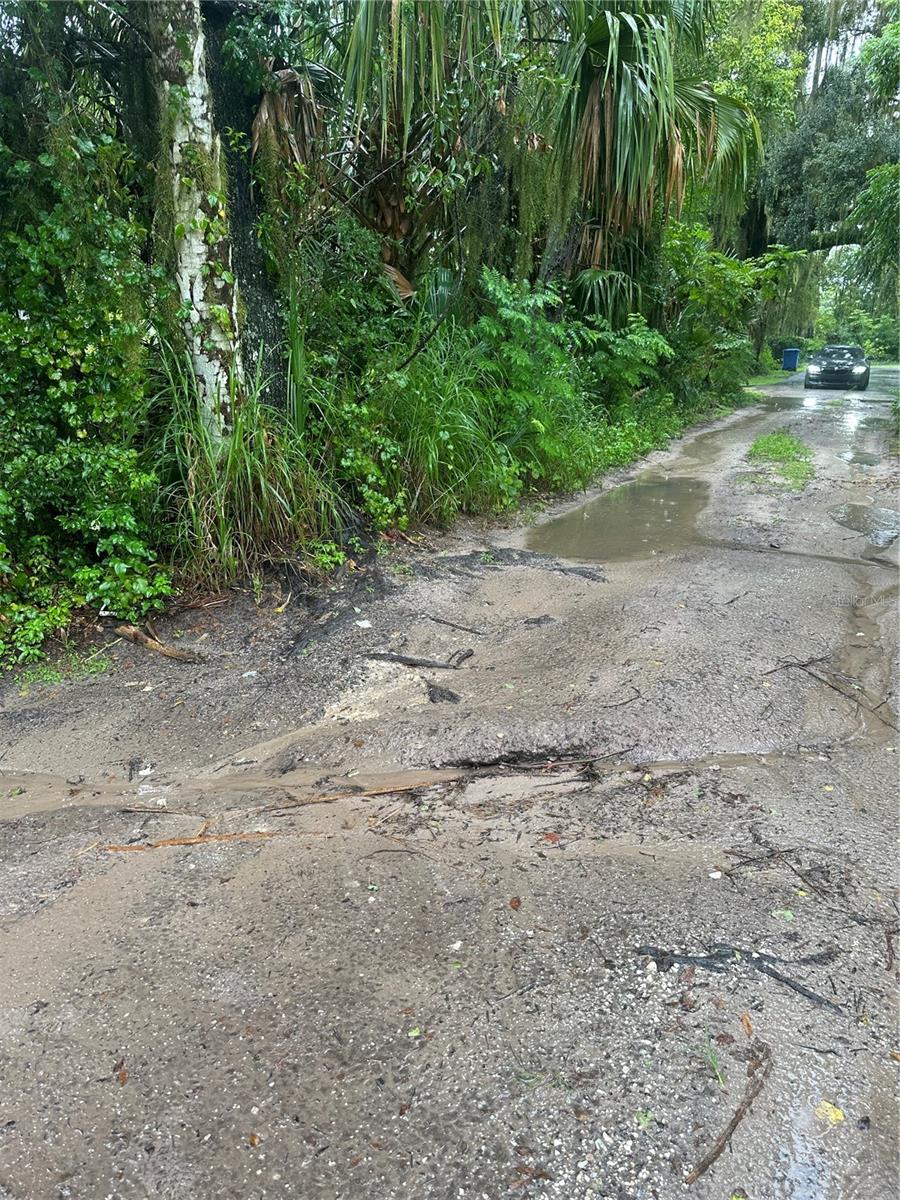 Image 11 of 13 For Beresford Avenue